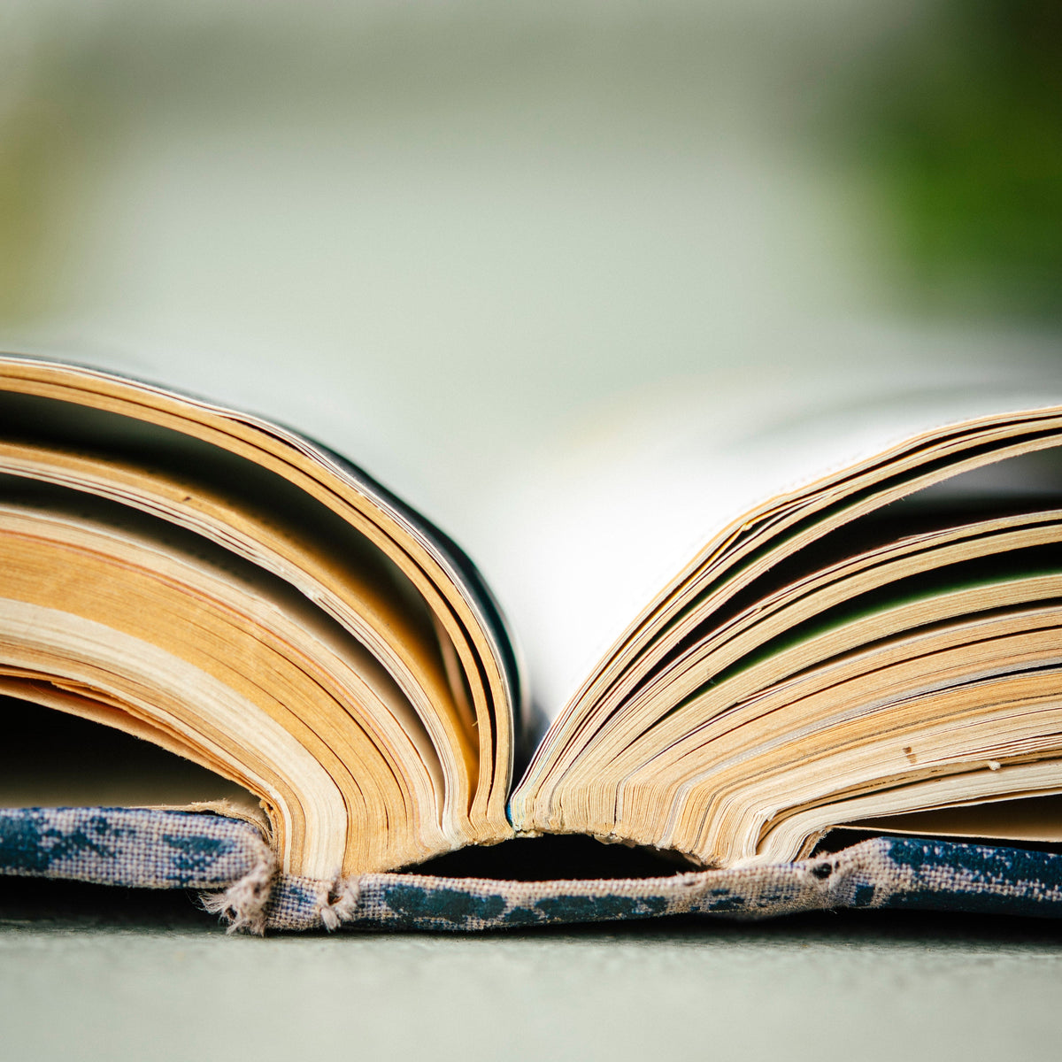 Books & Magazines
