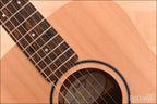 Taylor Baby BT1