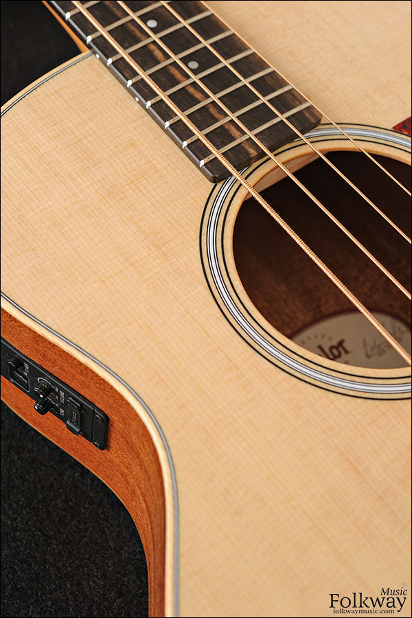 Taylor GS Mini-e Bass
