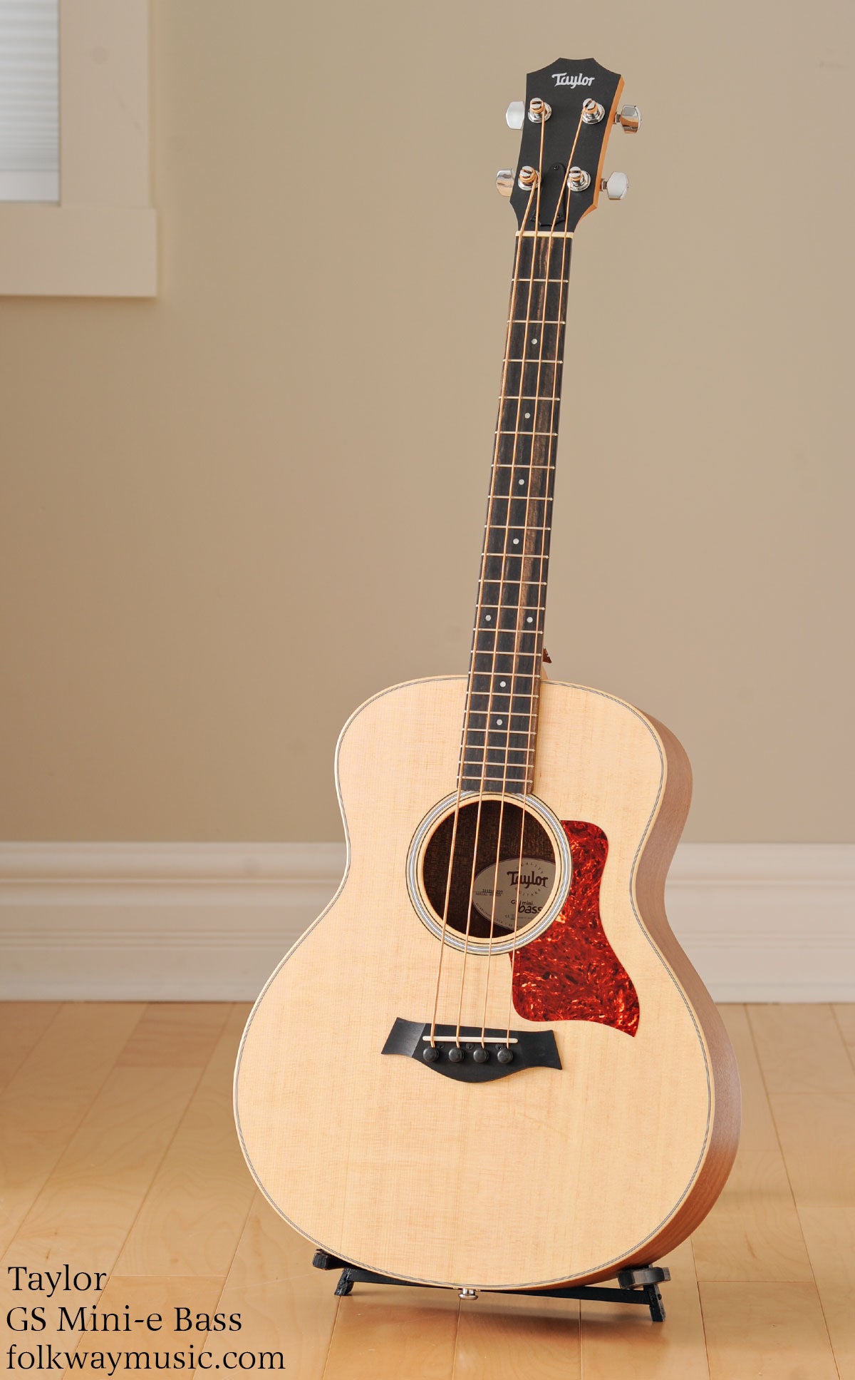 Taylor GS Mini-e Bass