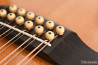Larrivée L25 12 String
