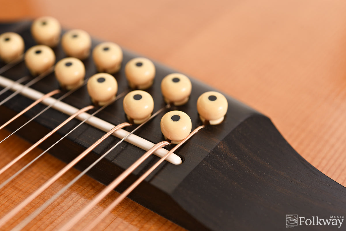 Larrivée L25 12 String