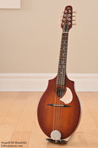Seagull S8 Mandolin Burnt Umber