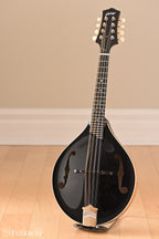Collings MT Gloss Blacktop