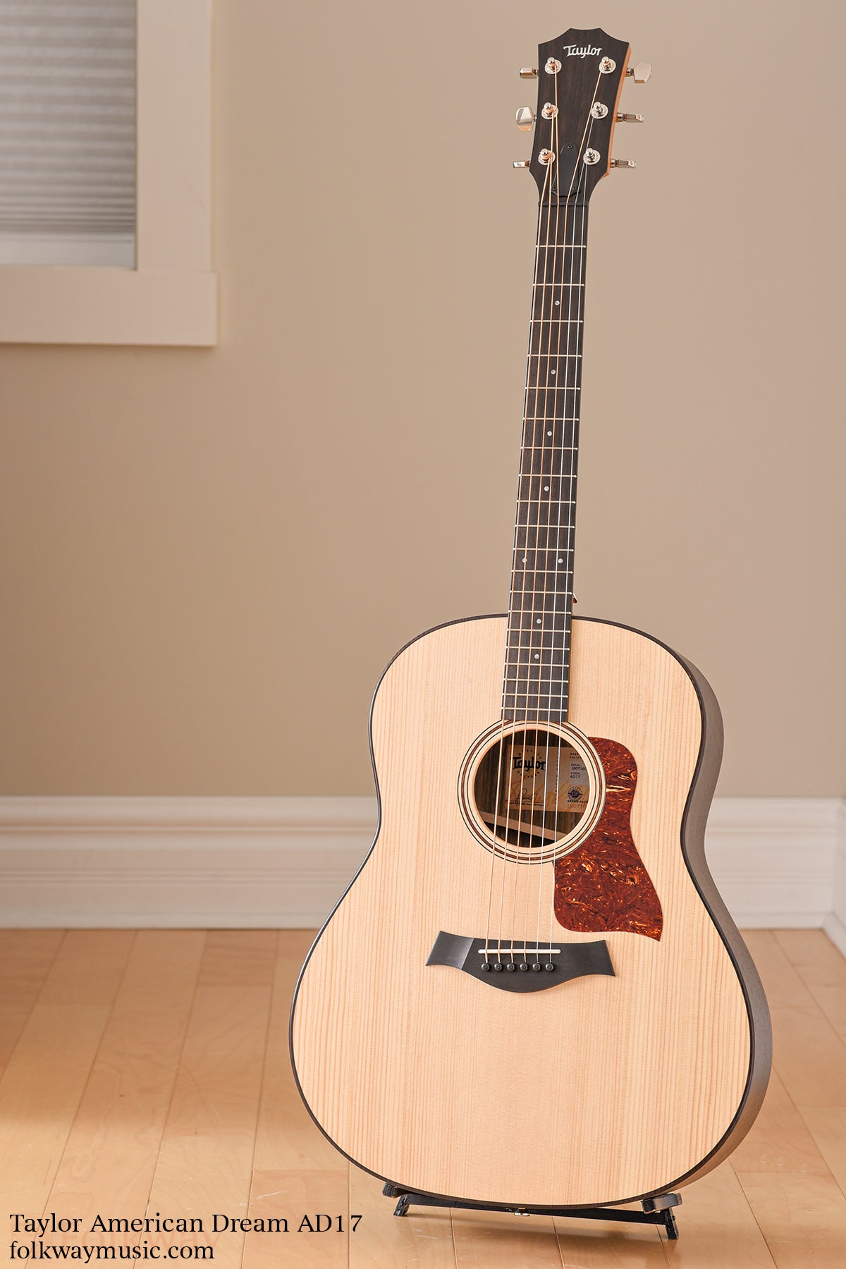 Taylor American Dream AD-17