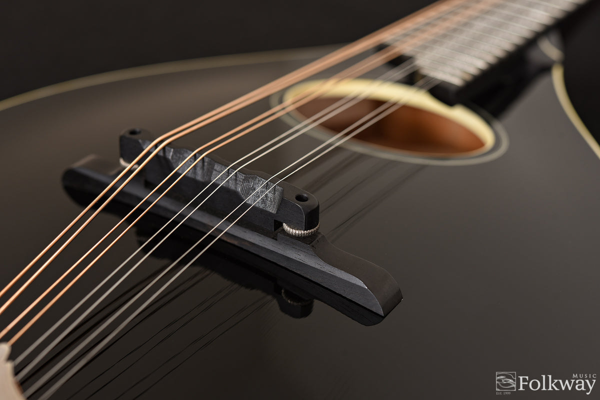 2014 Collings MTO Gloss Blacktop