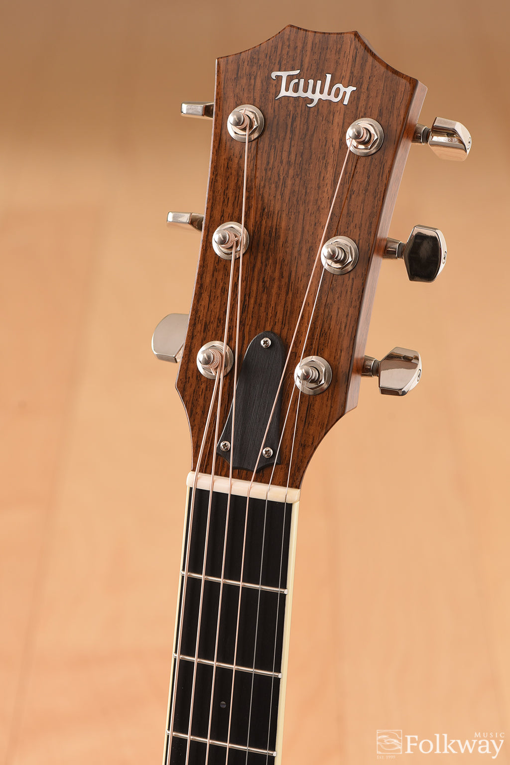 2015 Taylor Folkway Custom GA