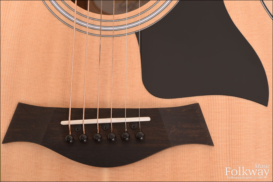 Taylor 110ce