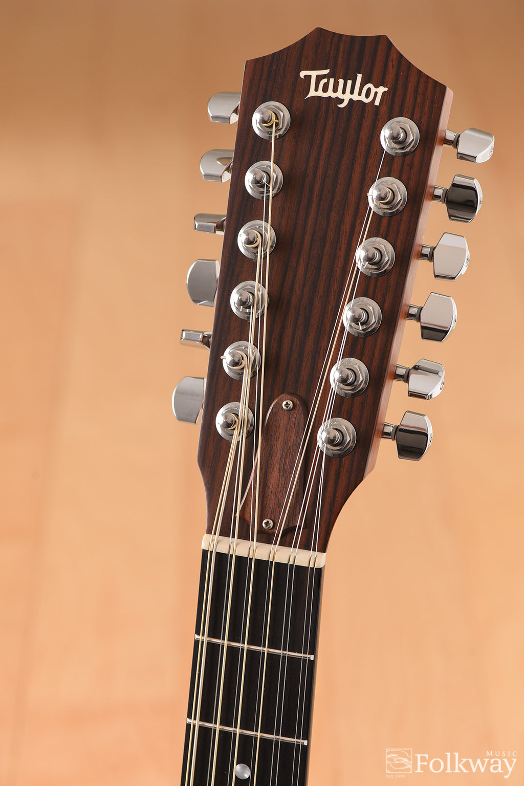 2007 Taylor 355ce