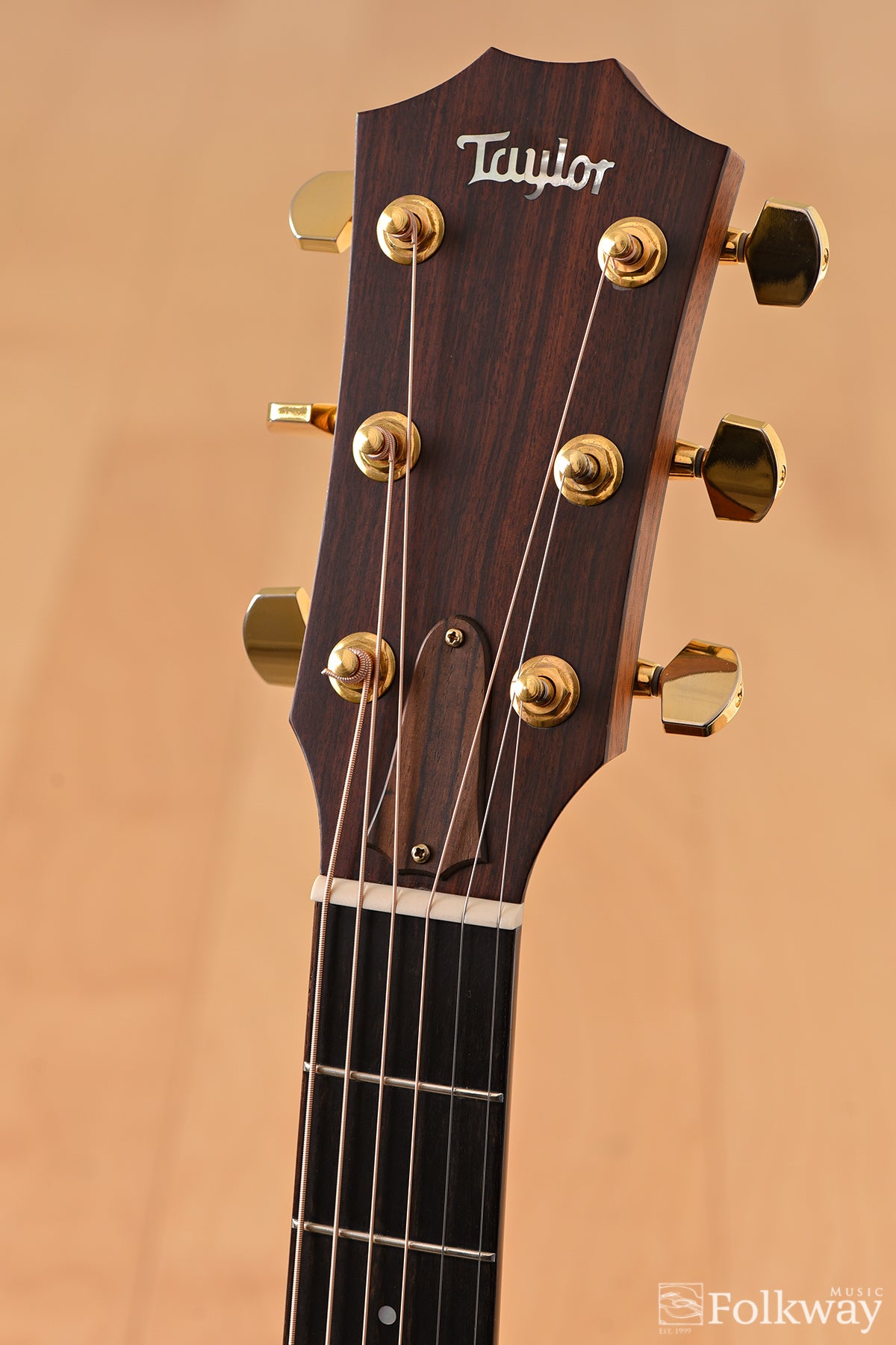 2009 Taylor 716ce-Ltd