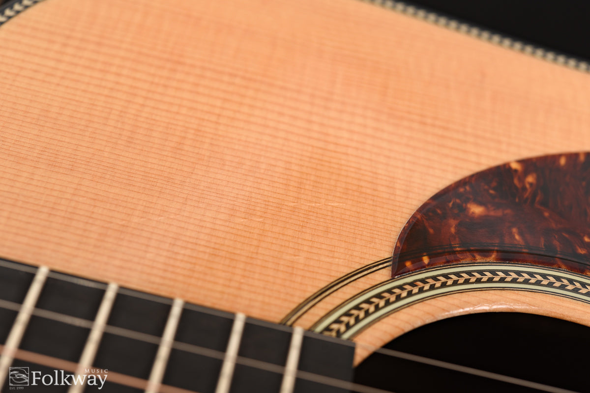 2009 Santa Cruz D/PW Custom