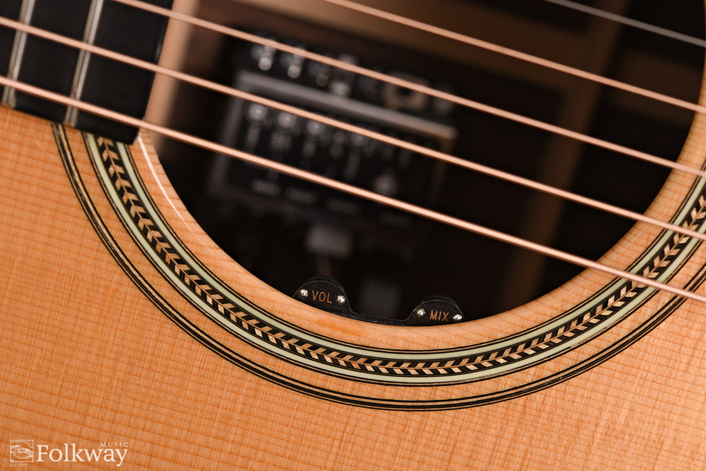 2009 Santa Cruz D/PW Custom