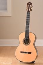 2017 Alhambra 10PA