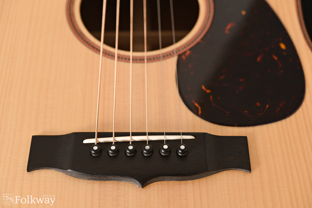 2011 East Virginia Guitars FP-M1