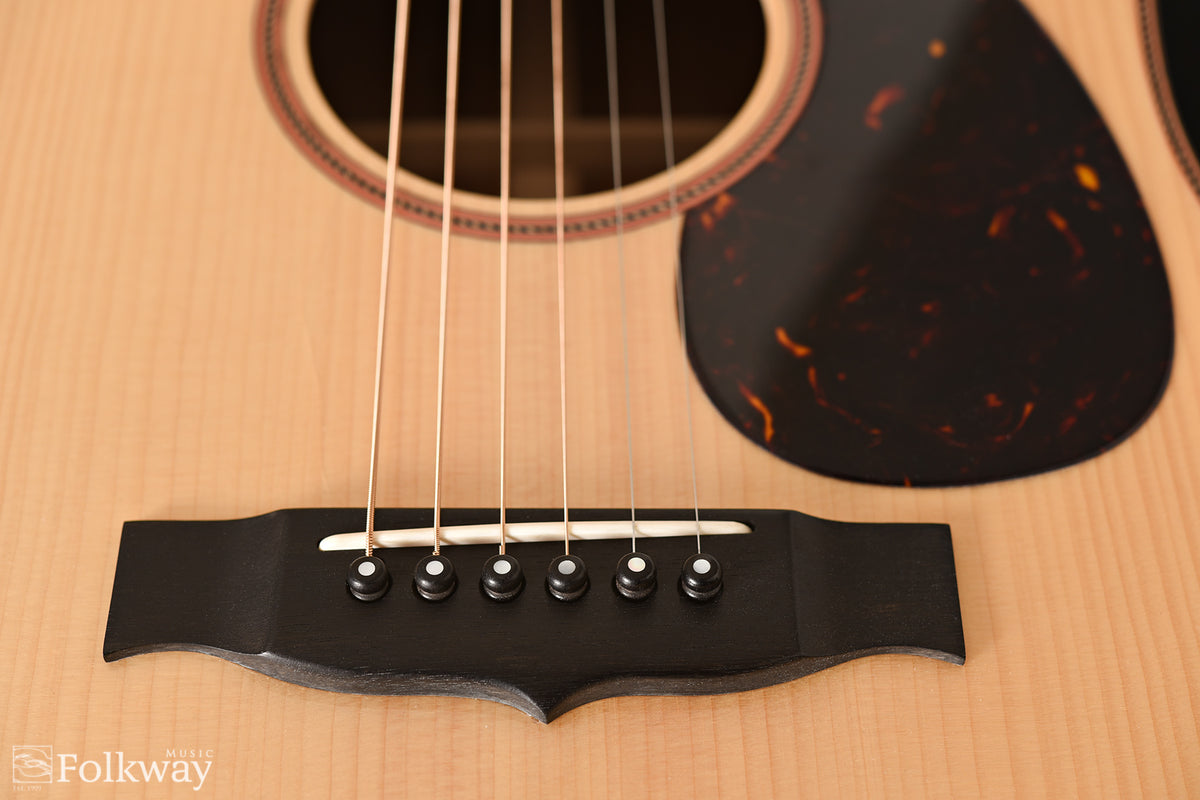 2011 East Virginia Guitars FP-M1