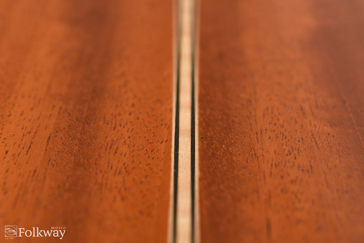 2011 East Virginia Guitars FP-M1