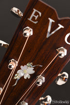 2011 East Virginia Guitars FP-M1