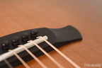 Taylor Builder's Edition 717 WHB