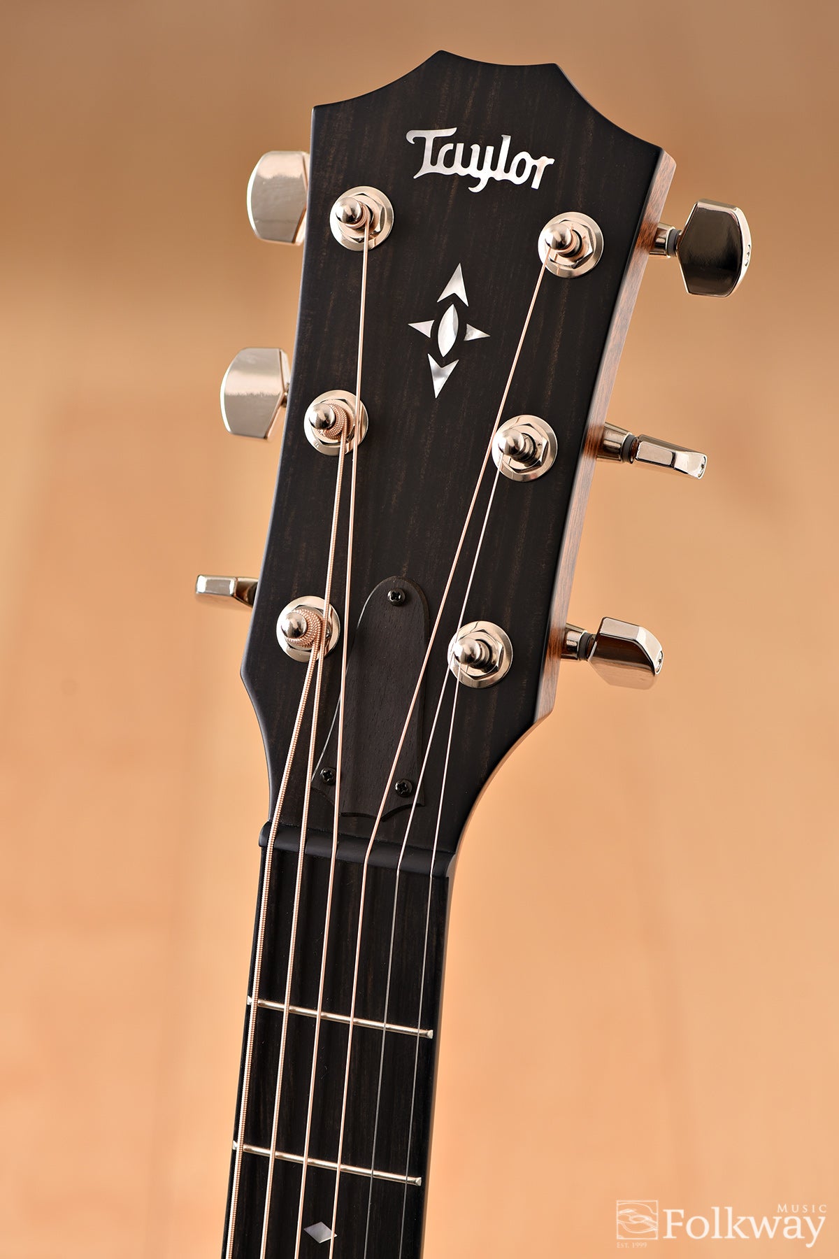 Taylor Builder's Edition 717 WHB