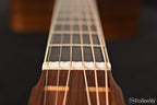1981 Oskar Graf Steel String
