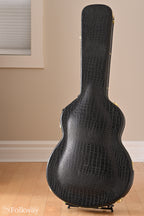 2009 Taylor T3/B