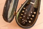 1923 Gibson A2Z