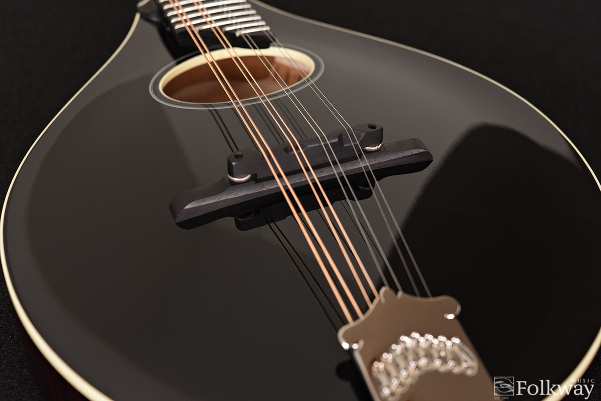 Collings MTO Gloss Blacktop