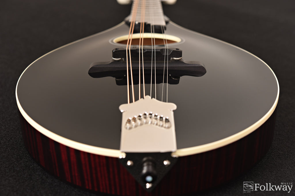 Collings MTO Gloss Blacktop