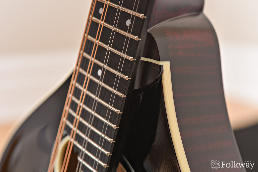 Collings MTO Gloss Blacktop