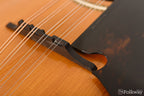 1909 Gibson F-4