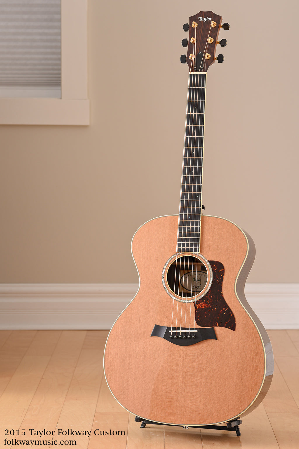 2015 Taylor Folkway Custom GA