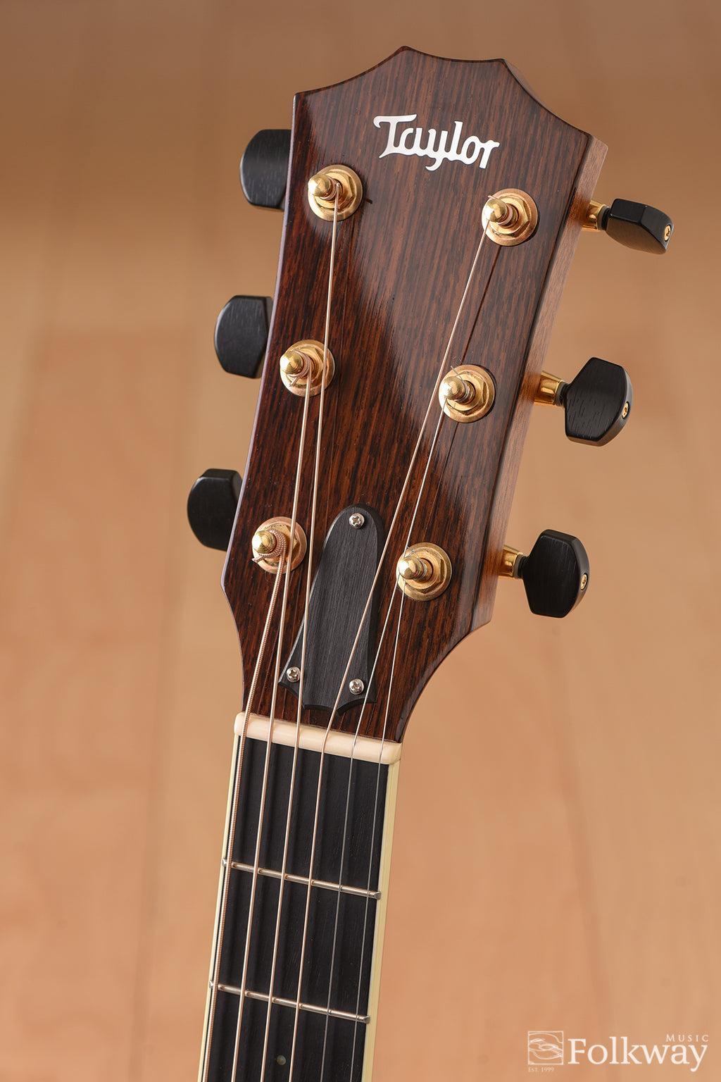 2015 Taylor Folkway Custom GA