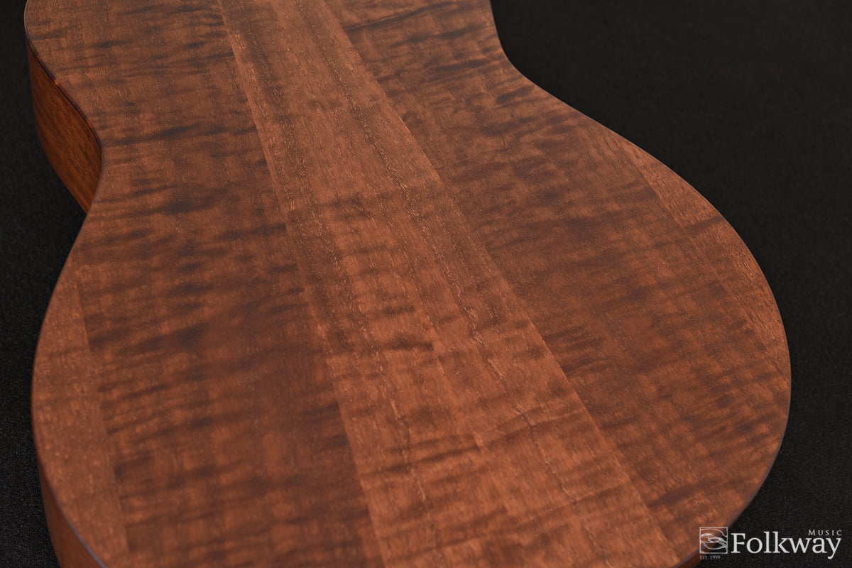 Taylor GTe Urban Ash