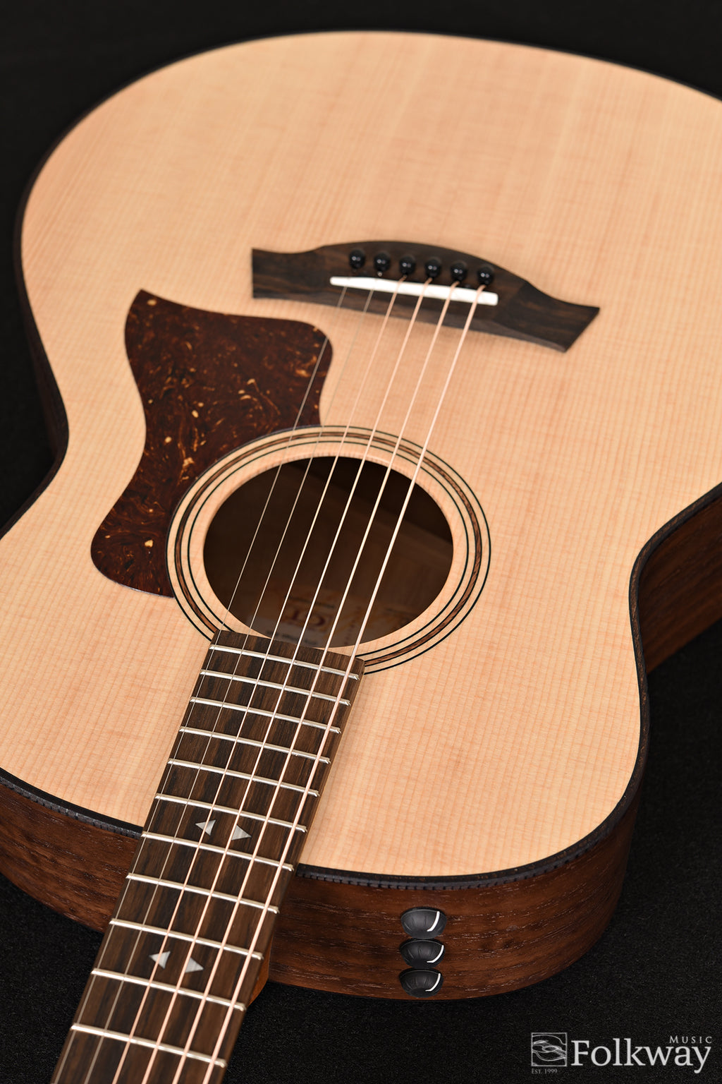 Taylor GTe Urban Ash
