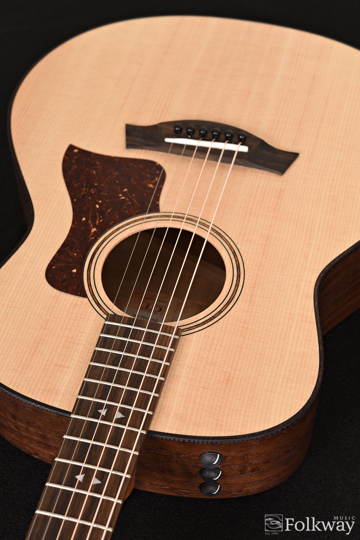 Taylor GTe Urban Ash