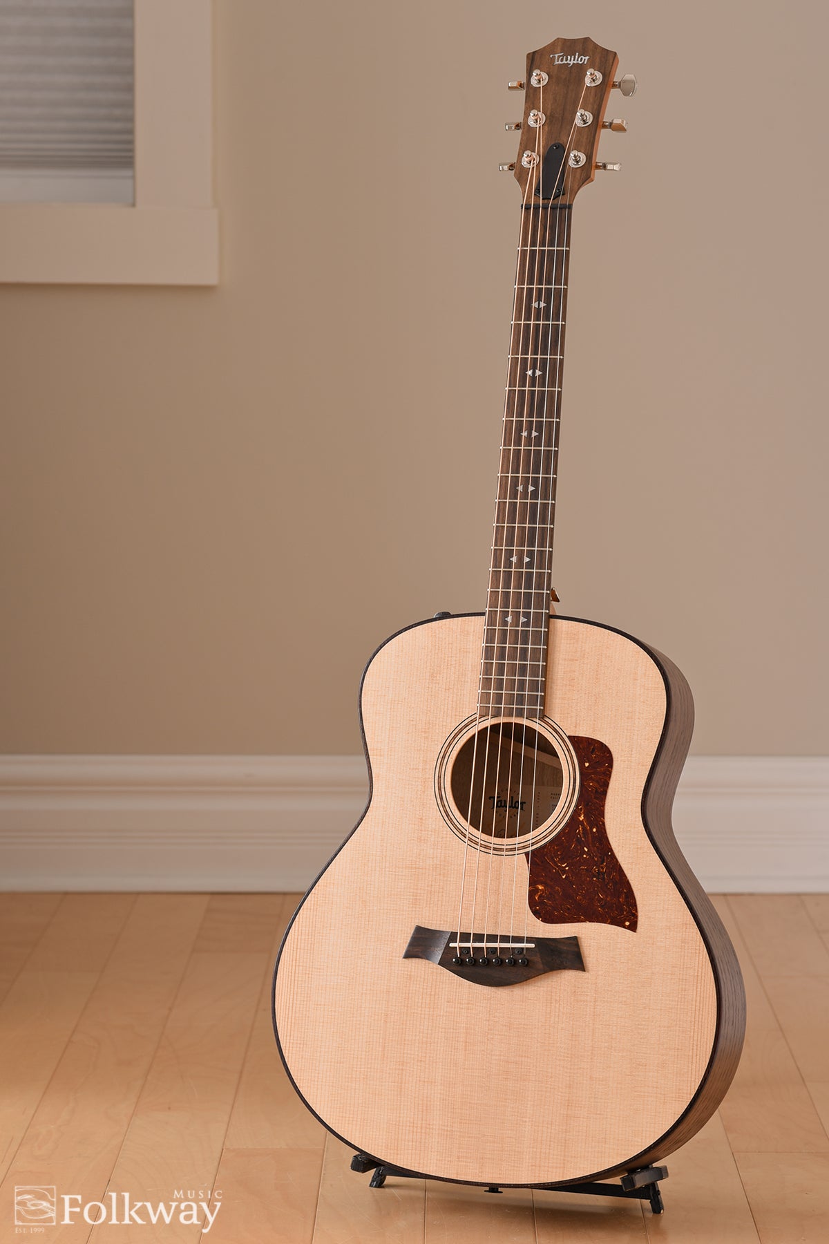 Taylor GTe Urban Ash
