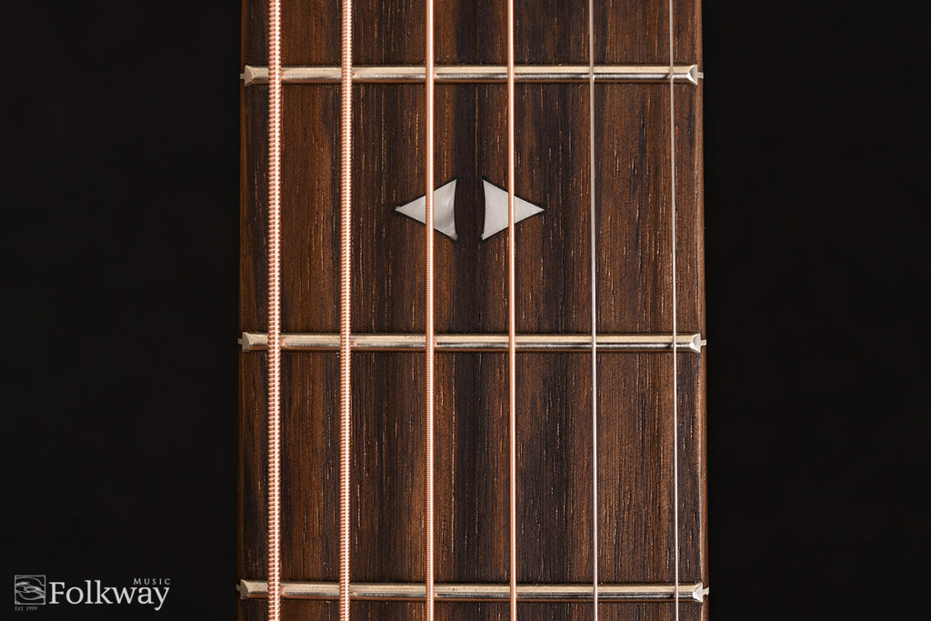Taylor GTe Urban Ash