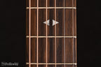 Taylor GTe Urban Ash