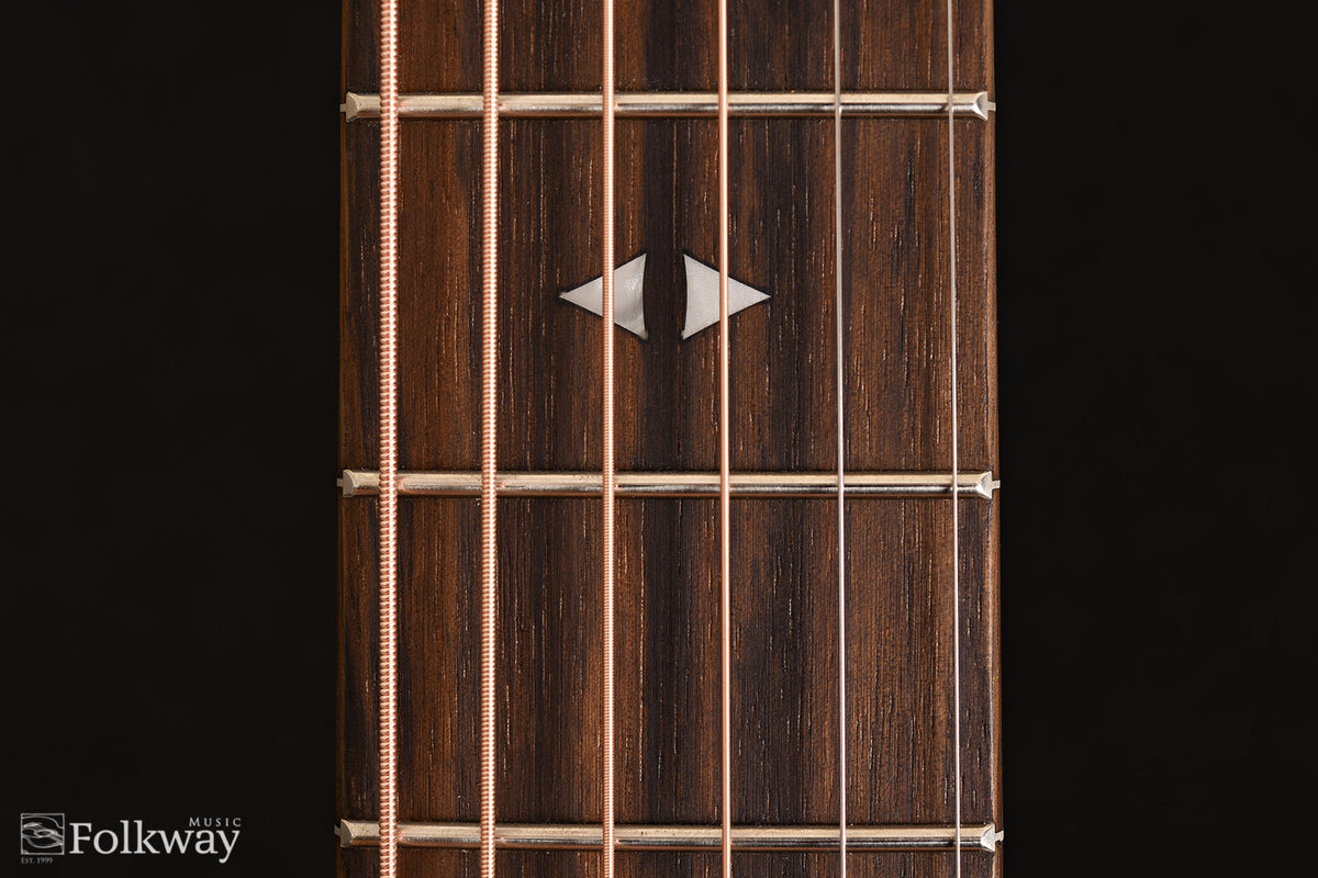Taylor GTe Urban Ash