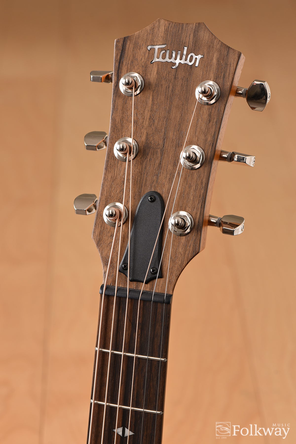 Taylor GTe Urban Ash