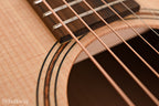 Taylor GTe Urban Ash