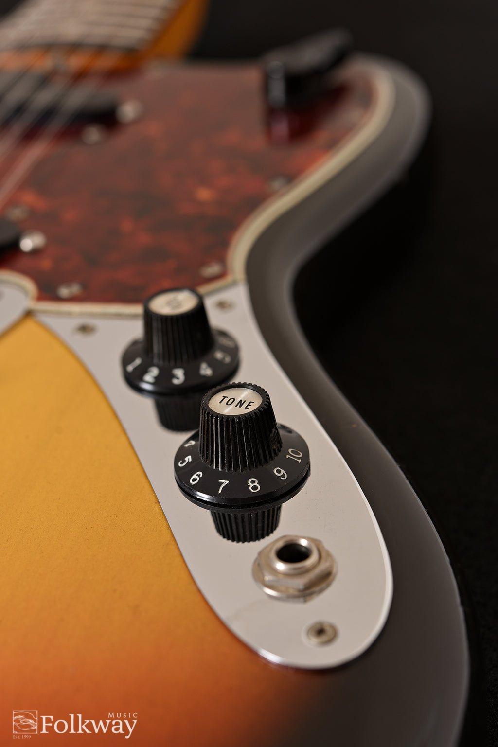 1965 Fender Electric XII