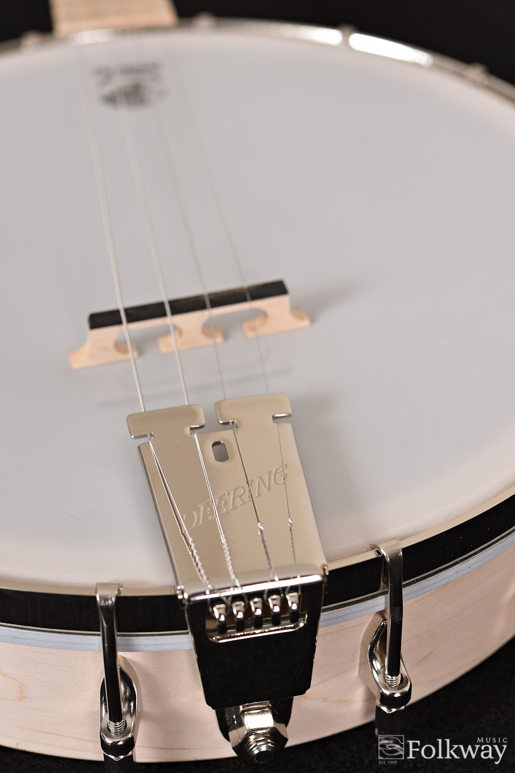 Deering Goodtime 19 Fret Tenor Banjo