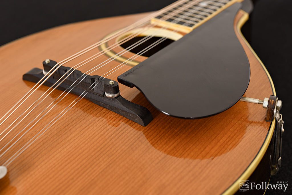 1924 Gibson A2Z