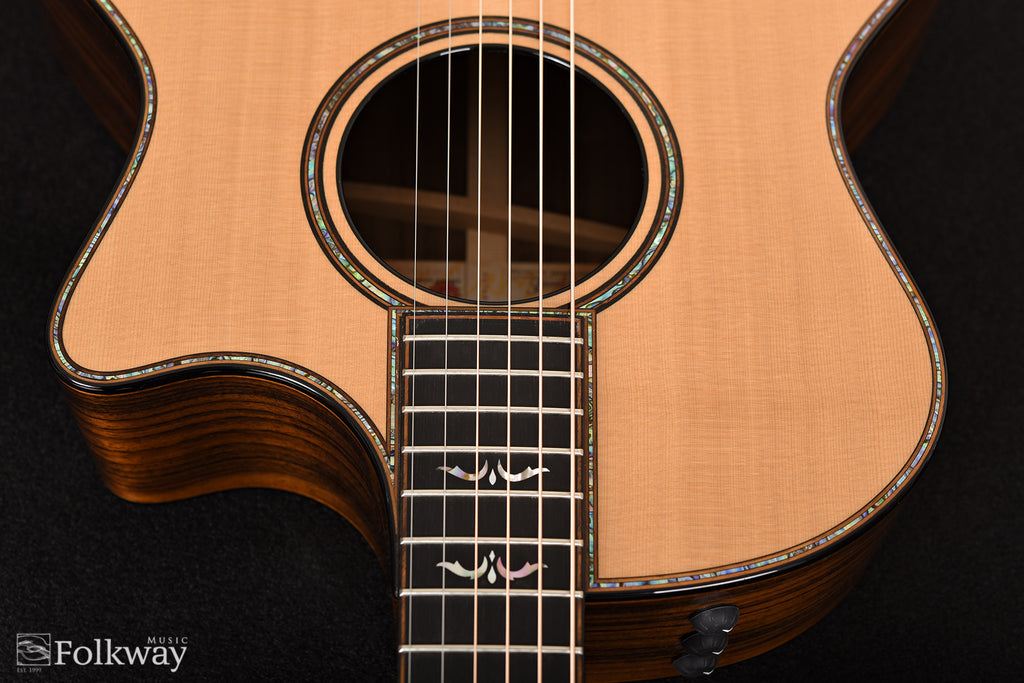 2019 Taylor 914ce