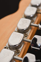 1971 Fender Telecaster Thinline