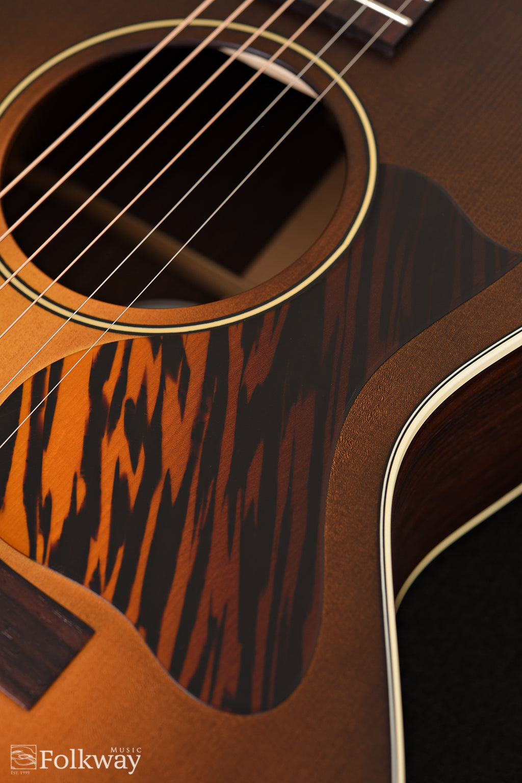 Iris MS-00 Deep Body Rosewood / Adirondack