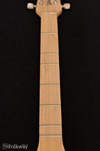 Seagull M4 EQ