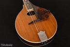1909 Gibson A-3