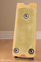 1955 Fender Dual 6 Professional